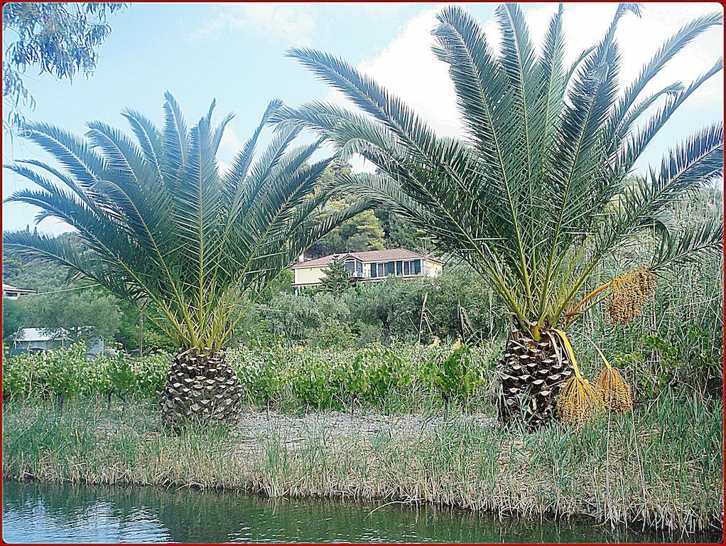 Villa Theodora Keri ภายนอก รูปภาพ